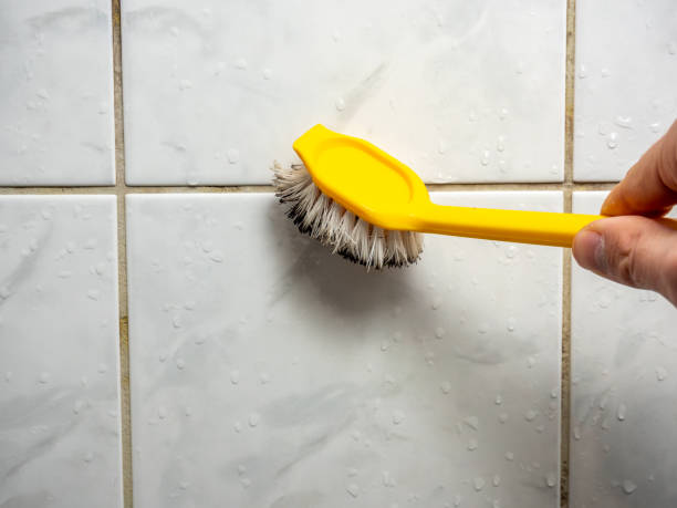 Mold Removal and Inspection in Westmoreland, TN