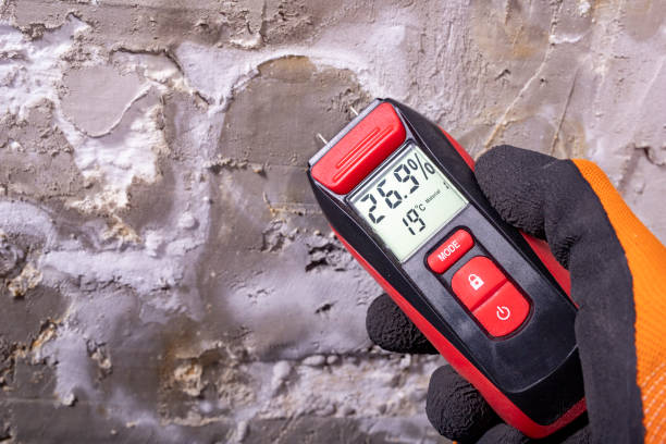 Best Mold Testing  in Westmoreland, TN