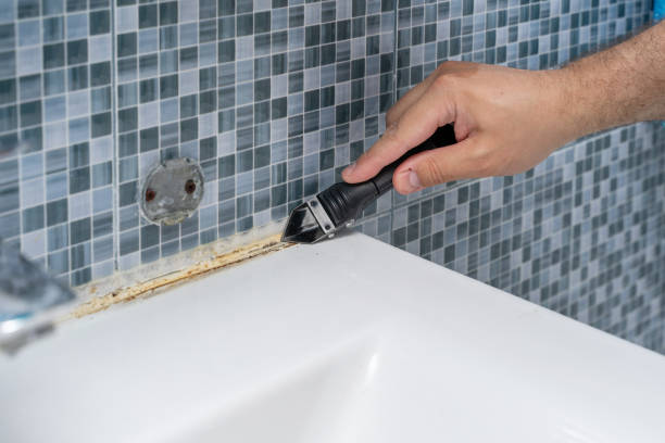 Best Commercial Mold Removal  in Westmoreland, TN